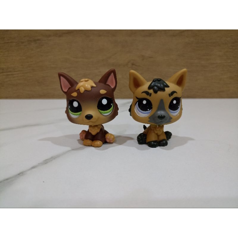 ตัวเล่น lps ของแท้ #littlest pet shop#lps