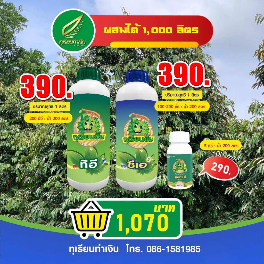 ชุดสะสมอาหารแบบลิตร ใบเขียว เข้ม สะอาด มันเงา