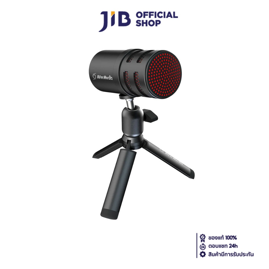 MICROPHONE (ไมโครโฟน) AVERMEDIA VERSATI GO AM310G2