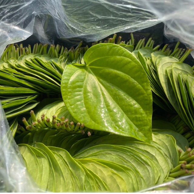 ใบพลูกินหมาก ใบพลูเหลืองบ้านแพ้วสมุทรสาคร/ราคาต่อครึ่งกก.