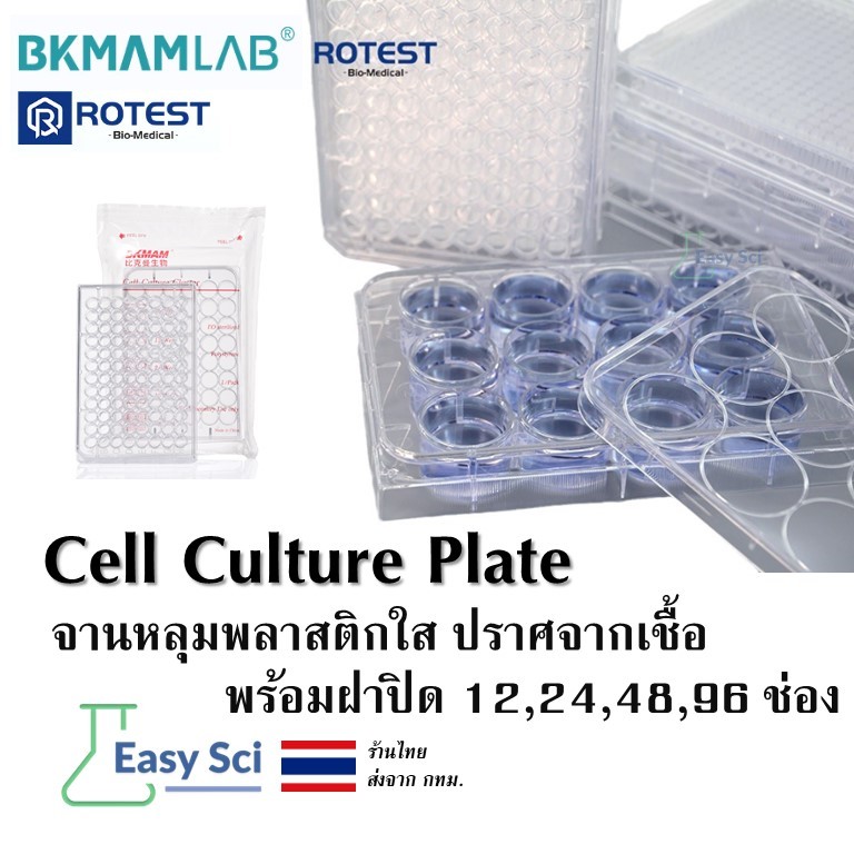 จานหลุมพลาสติกใส ปราศจากเชื้อ Cell Culture Plate 12,24,48,96 ช่อง จานเพาะเชื้อ