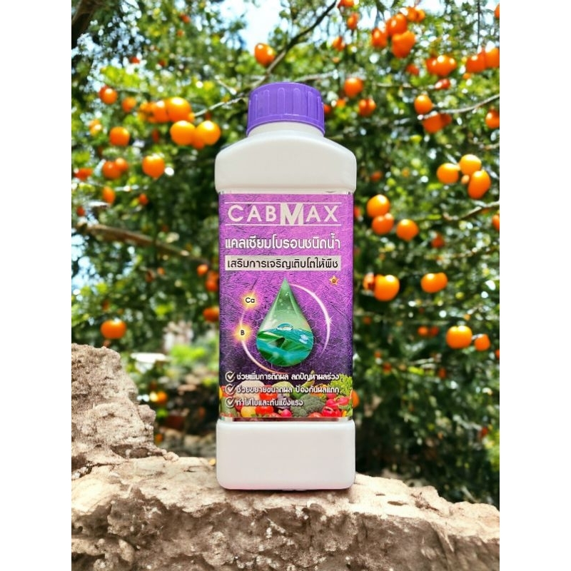 1 แถม 1 CABMAX + CABMAX (อาหารบำรุงพืช) - รูปที่ 4