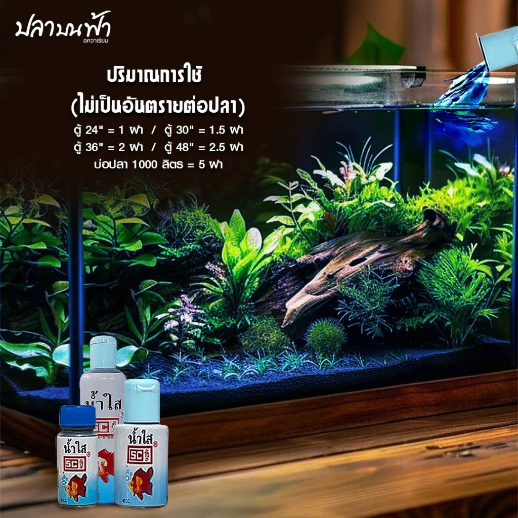 น้ำยาปรับสภาพน้ำใส SC ชนิดเข้มข้นช่วยปรับสภาพน้ำให้ใสสะอาดอยู่ตลอดเวลา โดยไม่ต้องเปลี่ยนน้ำบ่อย thumbnail 3
