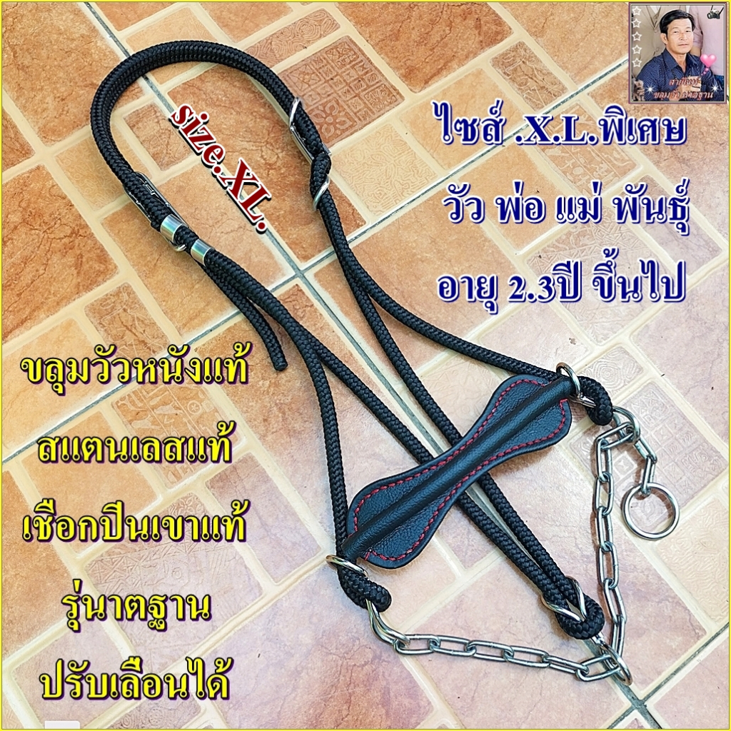 ขลุมวัว เคาวัว หนังแท้ มาตฐาน ปรับเลื่อนได้ 6 จุด เชือกปีนเขาแท้ สแตนเลส เกรด 304 แท้100% ขายราคาส่ง