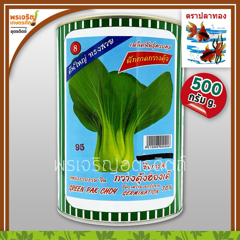 เมล็ดพันธุ์ ผักกาดกวางตุ้ง กวางตุ้งฮ่องเต้ 95 ต้นใหญ่ (500 กรัม) เมล็ดกวางตุ้งฮ่องเต้ เมล็ดพันธุ์ผักสวนครัว ตราปลาทอง