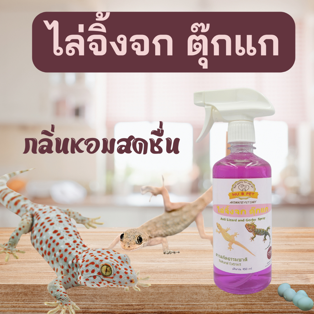 สเปรย์ไล่จิ้งจก จากสารสกัดธรรมชาติ