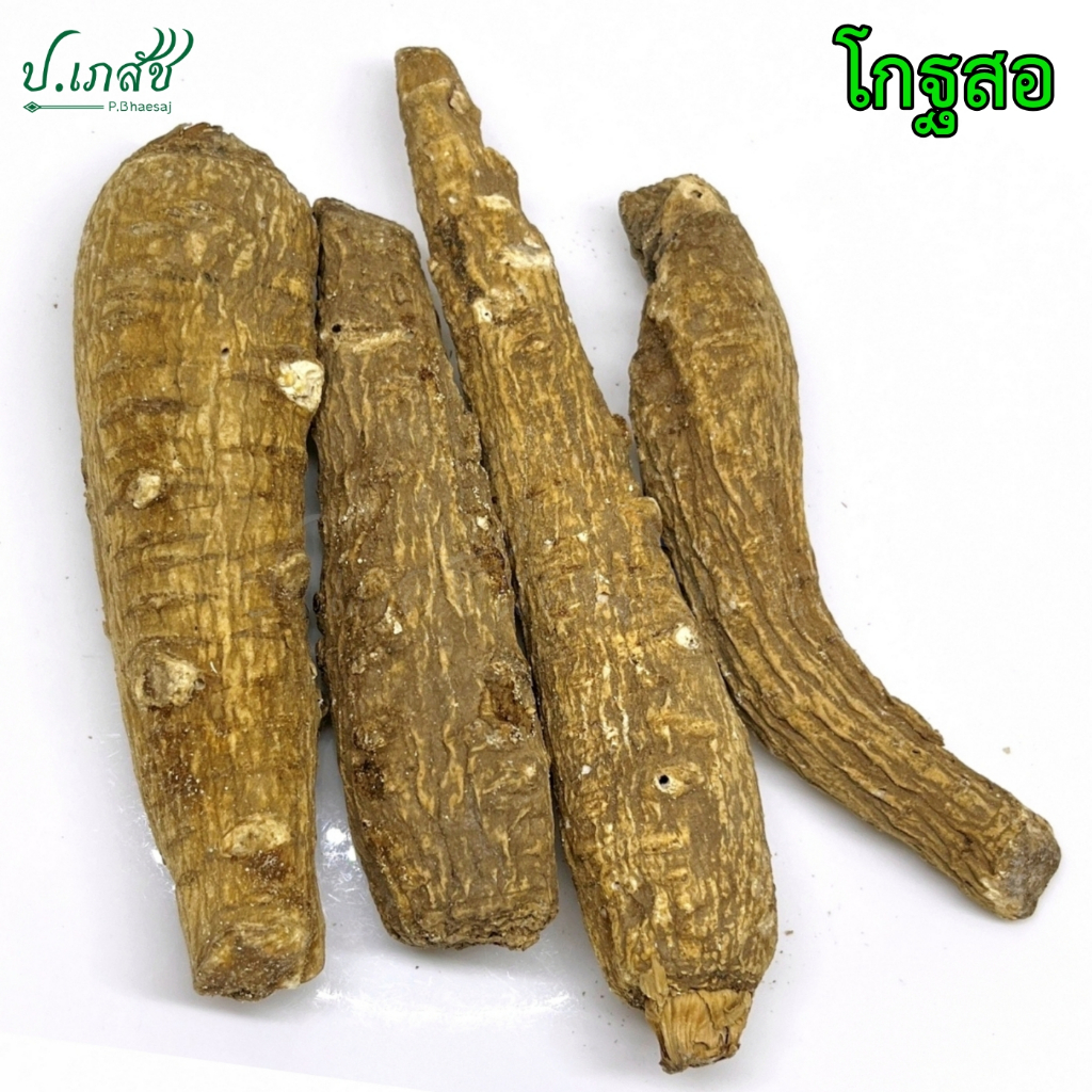 โกฐสอ [50 / 100 กรัม] ไป๋จื่อ แปะจี้