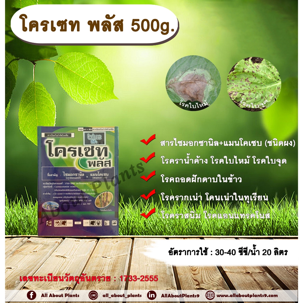 โครเซท พลัส 500g. ไซมอกซานิล+แมนโคเซบ สารกำจัดเชื้อรา โรคราน้ำค้างแตงกวา แคนตาลูป โรคใบไหม้ โรคใบจุด โรครากเน่าโคนเน่า