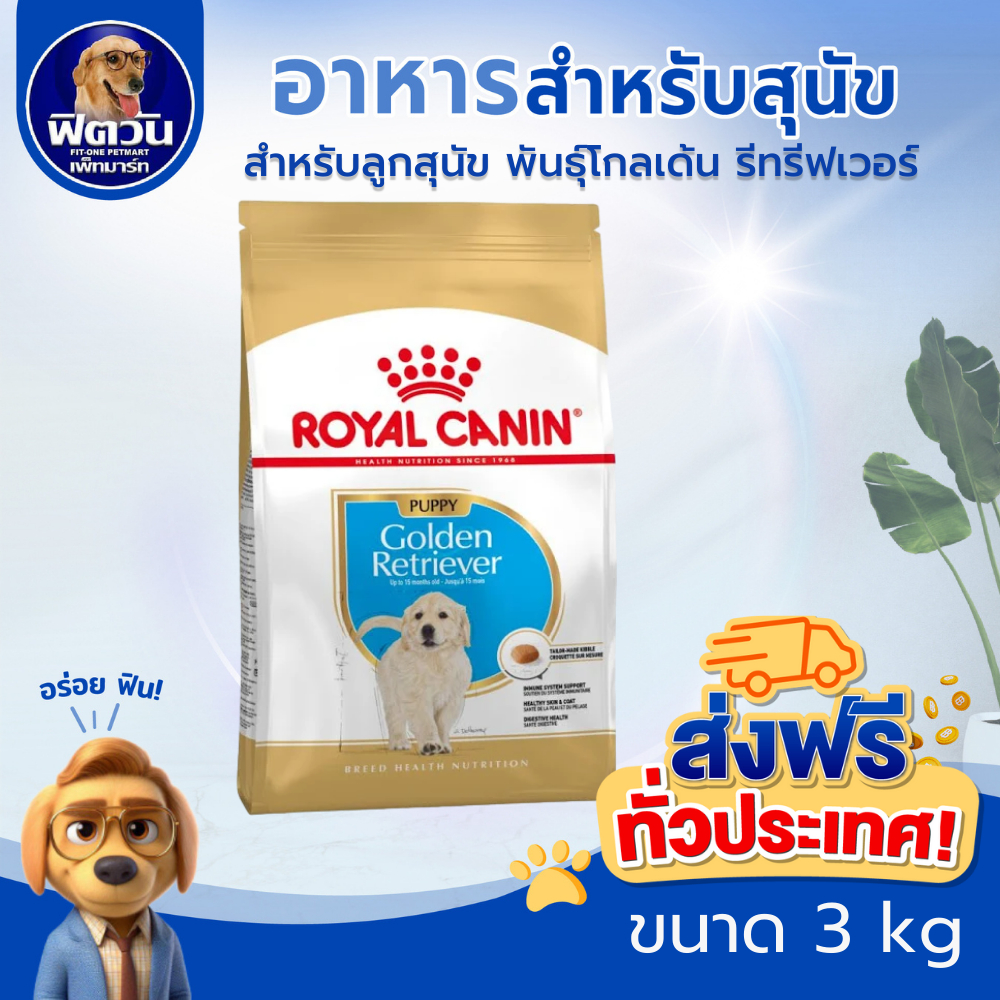 ROYAL CANIN Golden Retriever PUPPY ลูกสุนัข สูตรเฉพาะสายพันธ์ 3 กิโลกรัม{อาหารสุนัขเม็ด}