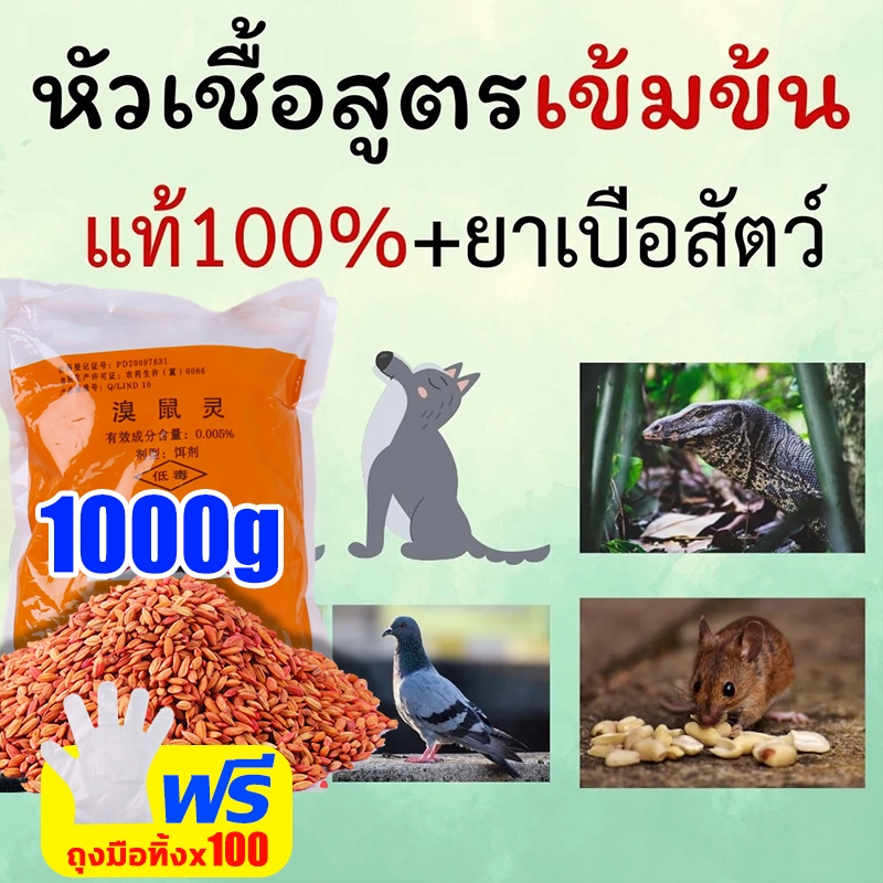 หัวเชื้อใช้ทำเหยื่อ กำจัดสัตว์ สูตรแรง เมโทรนิล 97% ไม่มีสี ไม่มีกลิ่น (200g.) ตะกวด แรทเนท methomyl แลนเนทแท้ นกพิราบ