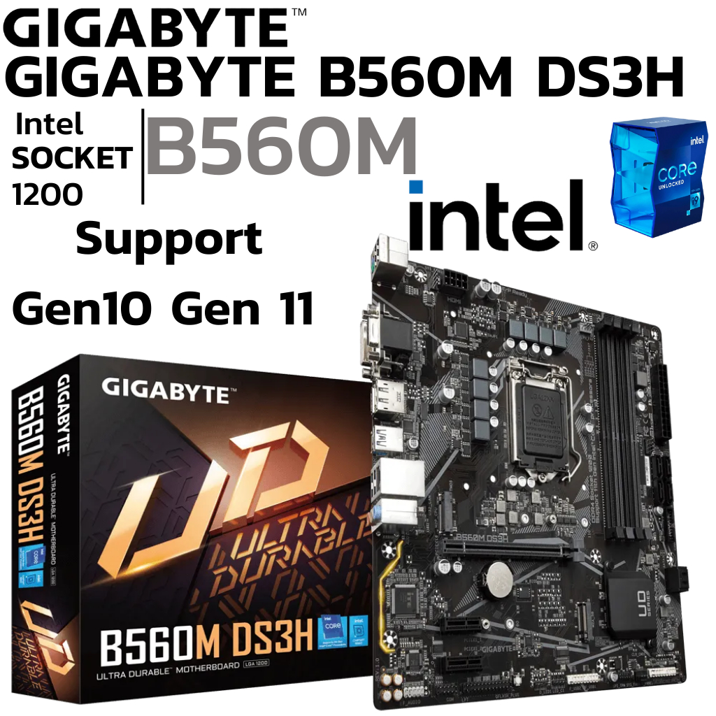 MAINBOARD (เมนบอร์ด) 1200 GIGABYTE B560M DS3H Support Gen 10 Gen 11