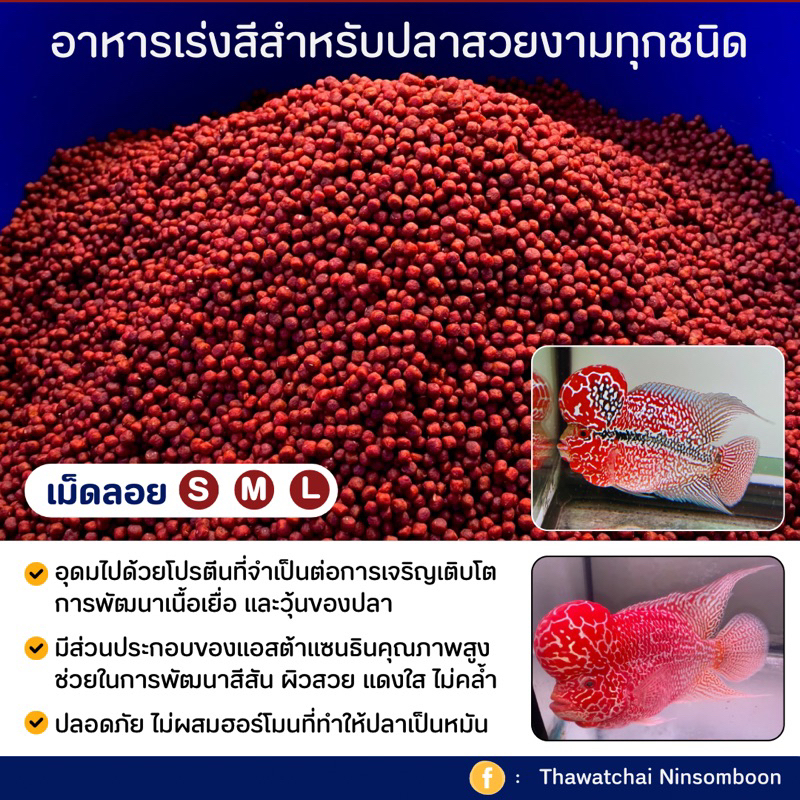 อาหารเร่งสีสำหรับปลาสวยงาม (โปรตีน>38%)