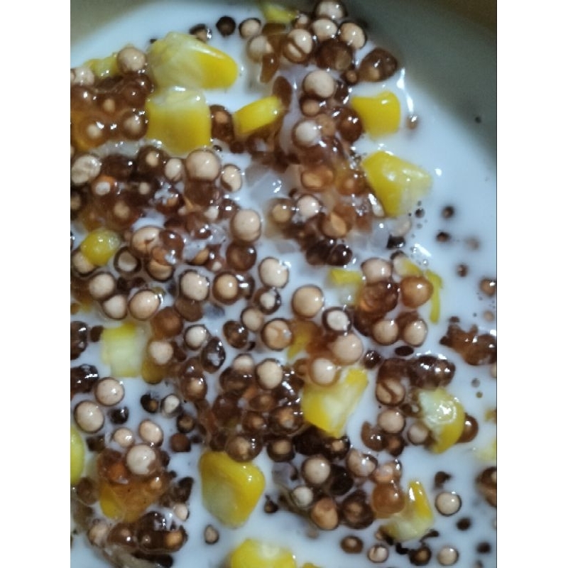 สาคูต้นพัทลุง น้ำหนัก 5 กิโลกรัม (5 ถุง) - รูปที่ 2