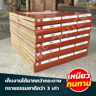 (ยกห่อ 5โหล) กระดาษทรายขัดแห้ง ตราฉลาม ราคาถูก พร้อมส่ง