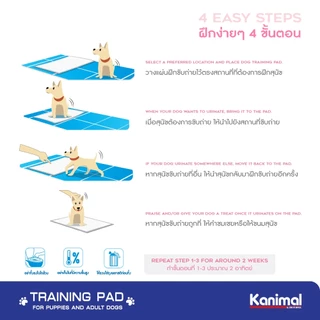 (BIG PACK) Kanimal Training Pad แผ่นรองฉี่สุนัข แผ่นรองซับ สำหรับสุนัข (Size M / Size L)