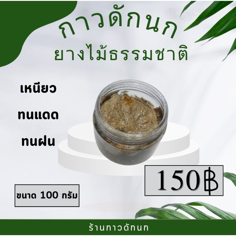 กาวดักนก ยางไม้ธรรมชาติ100กรัม