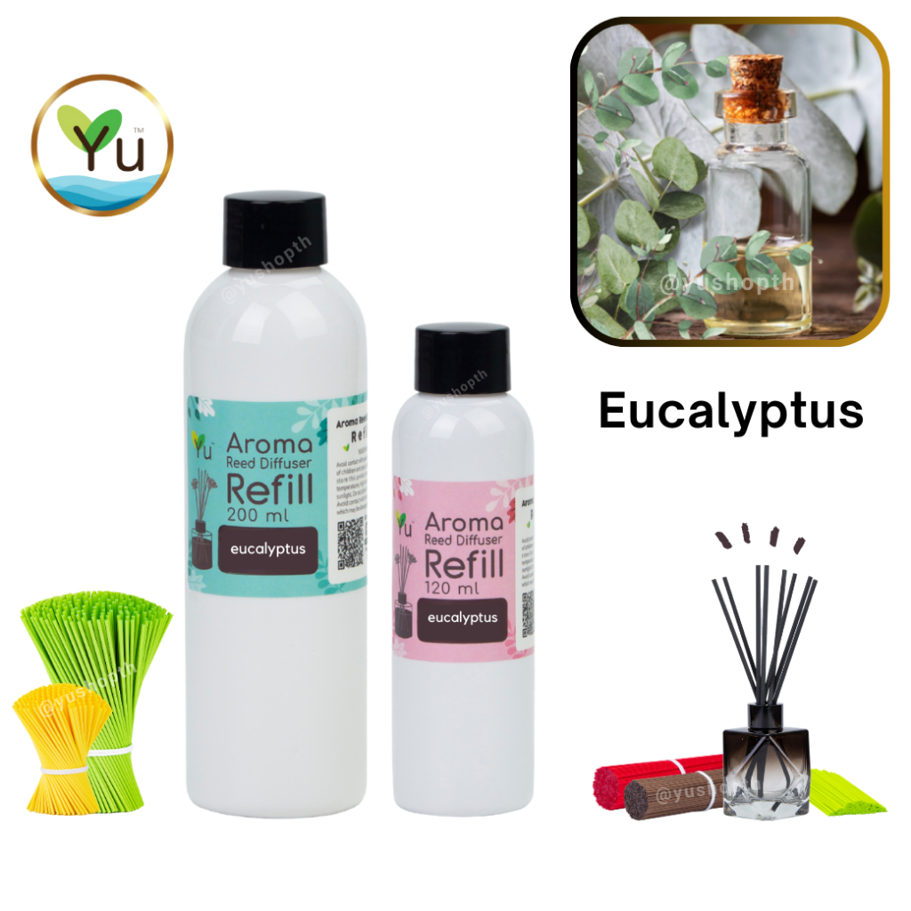 🌟 Refill รีฟิล 🌟กลิ่น Eucalyptus ยูคาลิปตัส กลิ่นหอมเย็นชุ่มฉ่ำ สำหรับ ก้านไม้หอม ก้านไม้ปรับอากาศ