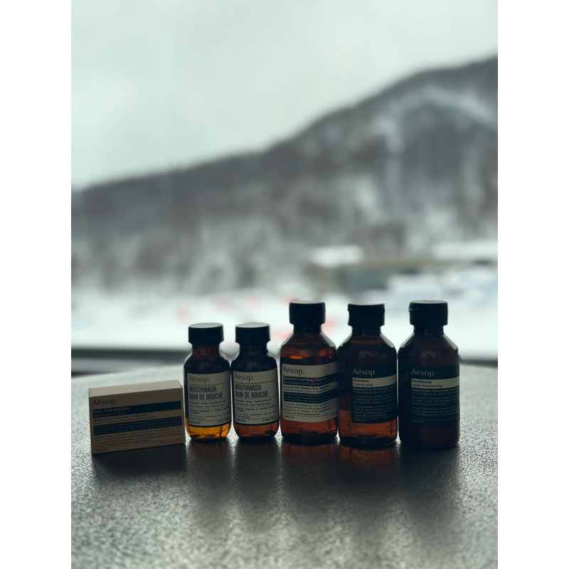 Aesop amenities (body cleanser, shampoo, conditioner, soap, mouthwash)