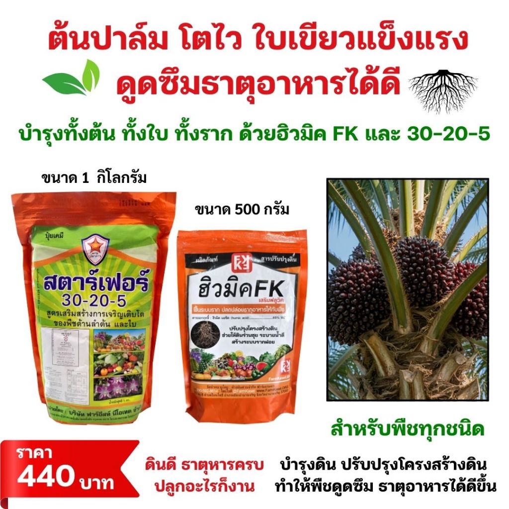 ชุดปุ๋ยเร่งโต ต้นปาล์ม โตไวใบเขียว บำรุงดิน พืชกินปุ๋ยได้ดี ฮิวมิคFK และปุ๋ยสตาร์เฟอร์30-20-5