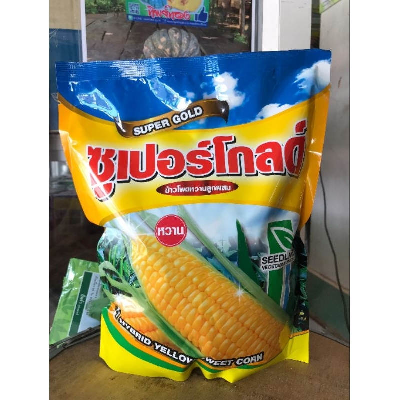 ข้าวโพดหวานชุปเปอร์โกลด์ ฟักใหญ่ เม็ดเต็ม รสชาติหวาน อายุเก็บเกี่ยว 60-65วัน ต้นแข็งไม่ล้มง่าย