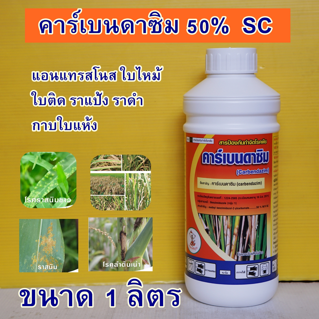 สารคาร์เบนดาซิม**ยกลัง12ขวดแถมเสื้อ** คาเบนดาซิม ราดำ ราแป้ง ใบจุด ราสนิม 1ลิตร แอนแทรกโนส กาบใบแห้ง คาร์เบนน้ำเกรดดี