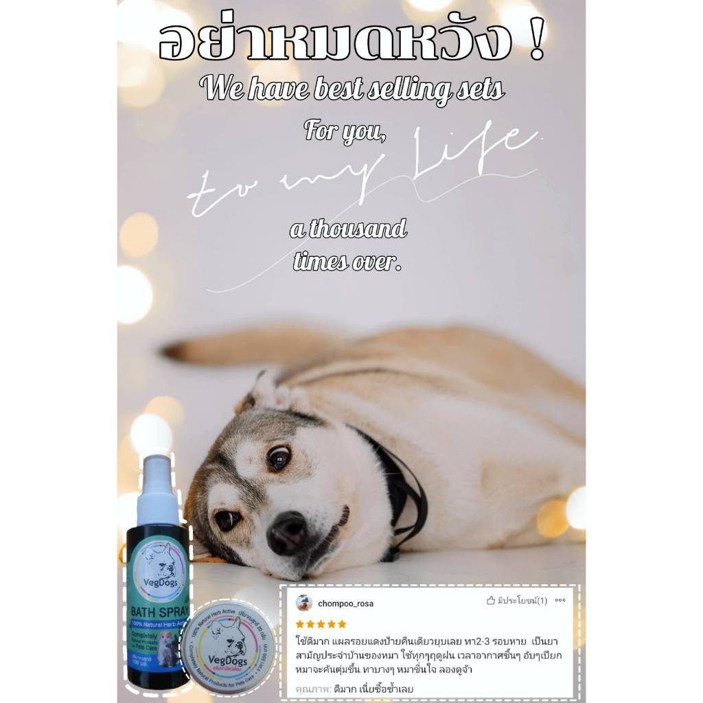 ผลิตภัณฑ์สัตว์เลี้ยง VegDogs คู่สุดคุ้ม สเปรย์ 100มล. กับครีมทาสัตว์เลี้ยงขนาด 20 กรัม