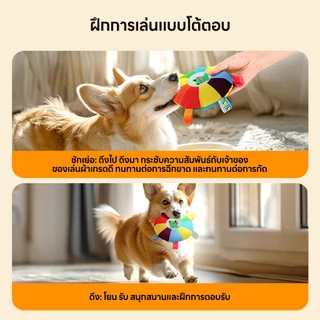 yoyopet : ของเล่นหมา ของเล่น จานร่อน ของเล่นสัตว์เลี้ยง มีกระดิ่ง มีเสียง สายรุ้ง สีสันสดใส