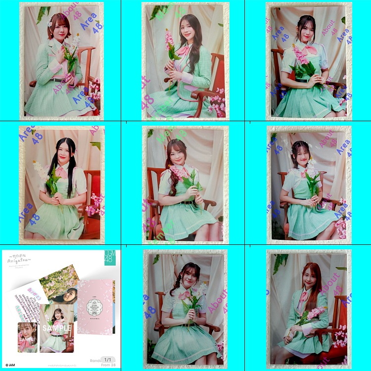 Sakura แอคพิเศษ โปสการ์ด CGM48 นีนี่ เหมย เจเจ ลาติน จิงจิง Cgm ฺฺซิง8 ซากุระ รูปพิเศษ Postcard Set