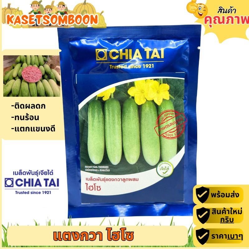 แตงกวาไฮโซ เมล็ดพันธุ์ 50 ก ตราเจียไต๋