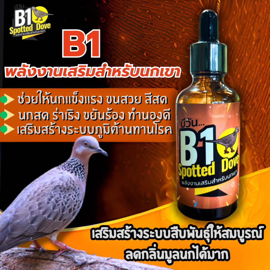 B1 Spotted Dove วิตามินนกเขา