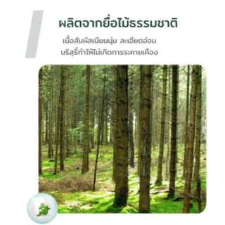 50 ห่อ Tissue ทิชชู่แบบยาว หนา 3 ชั้น ทิชชู่ Yaya ลายหมูเด้ง เท่ากับ เช็ดหน้า ทิชชู่หมูเด้ง