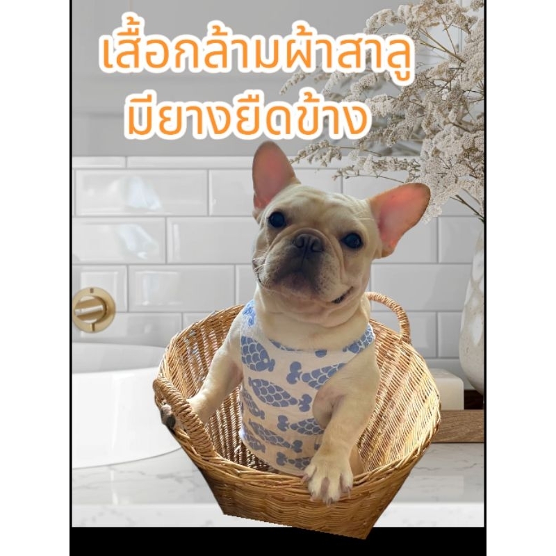 เสื้อกล้ามหมาอ้วนหน้าอกกว้าง