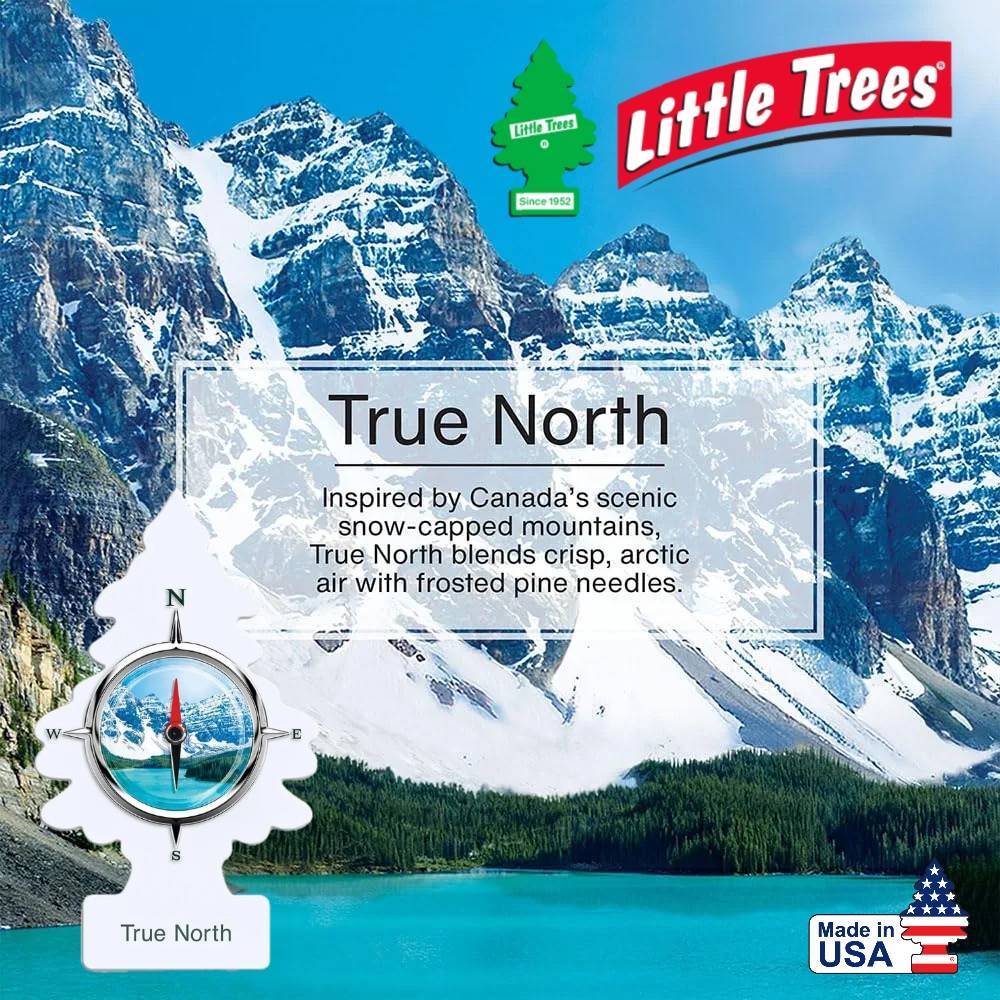 Little Trees แผ่นหอมปรับอากาศ กลิ่น True North