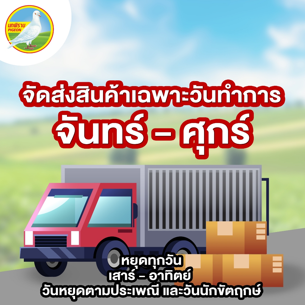 ผักกาดดองเค็ม ฮั่วน่ำฉ่าย ตรานกพิราบ แบบซอง ขนาด 145 กรัม 1 ลัง (48 ซอง) - รูปที่ 3