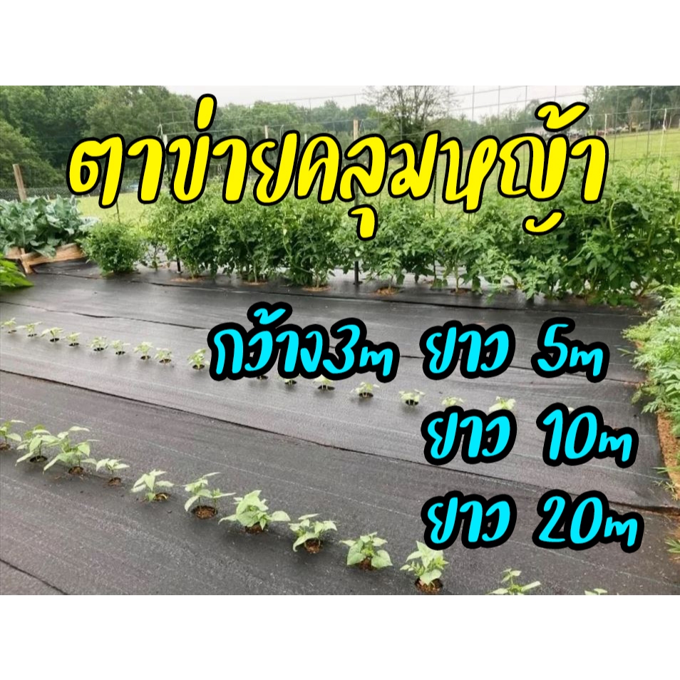 ตาข่ายคลุมหญ้า / พสาสติคคลุมดิน กว้าง3m มีความทนทานสูง และยืดหยุ่นได้ดี การซึมผ่านของน้ำที่ดี