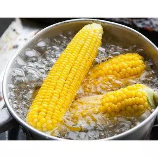 เมล็ดพันธ์ุ ข้าวโพดหวาน ฝักใหญ่ เต็มฝัก ปลูกง่าย บรรจุซองละ 50
