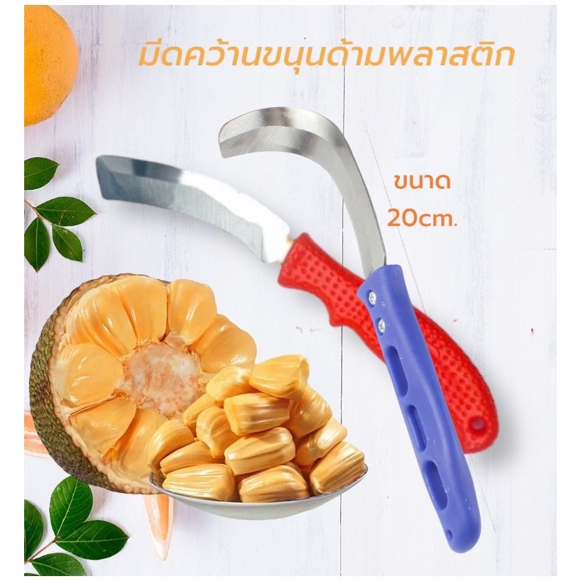 (🌟พร้อมส่ง)มีดคว้านขนุน มีดปอกขนุน คว้านแกน ด้ามจับพลาสติก ขนาด 20 CM.