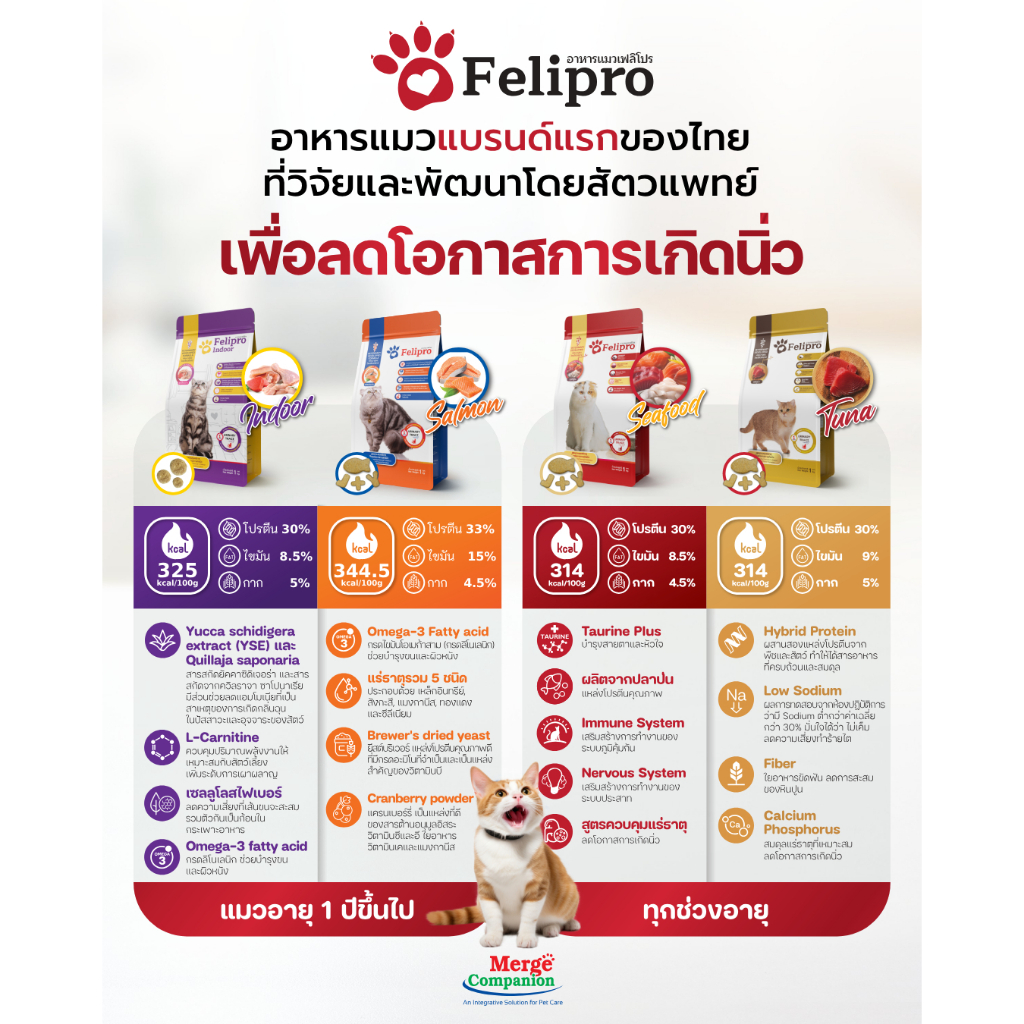 Felipro อาหารแมว มีให้เลือกถึง4รสชาติ < ถุงซิป ขนาด 500g/1kg >