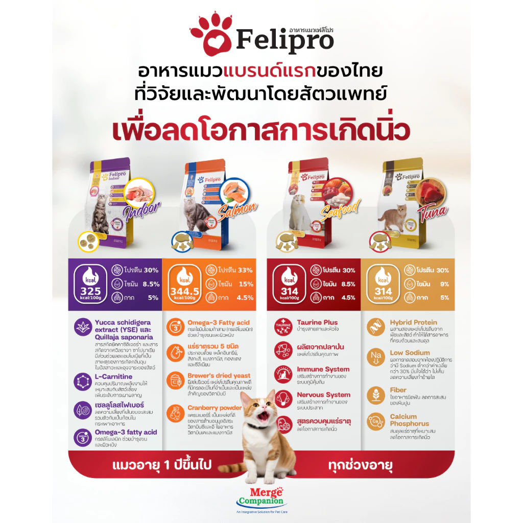 Felipro อาหารแมว มีให้เลือกถึง4รสชาติ < ถุงซิป ขนาด 500g/1kg >