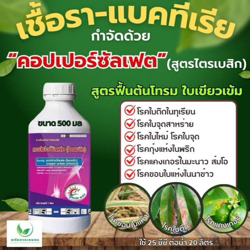คอปเปอร์ซัลเฟต (ไตรเบสิก) 34.5% W/V SC กำจัดเชื้อราแบคทีเรีย โรคขอบใบแห้ง/ราสนิม/ราน้ำค้าง