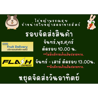 ใบหญ้าเนเปียร์ 1 กก ปลอดสารพิษ อาหารกระต่ายเต่าแกสบี้