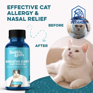[20 เม็ด ส่งฟรี]พร้อมส่ง วิตามินสำหรับแมวเป็นหวัด ไอ จาม เสริมการทำงานของะบบทางเดินหายใจ Exp.12/27