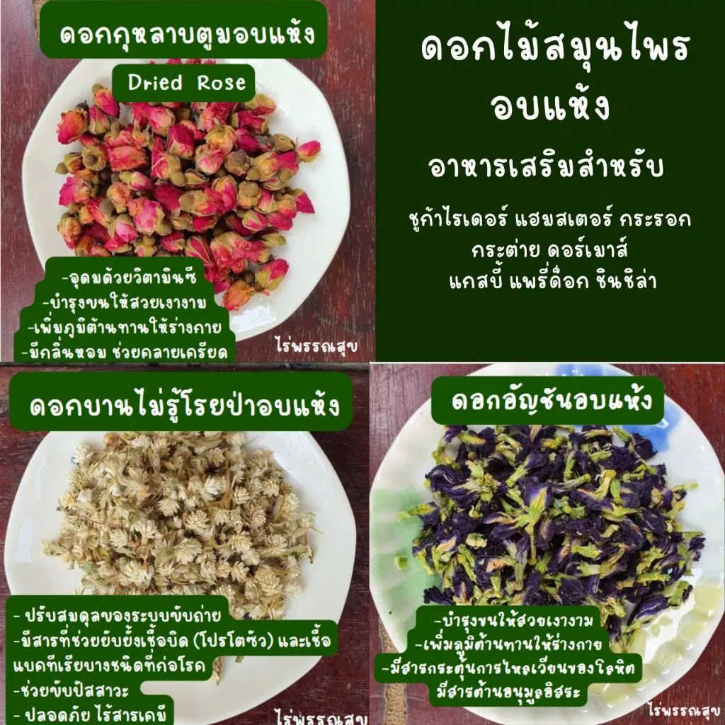 สมุนไพรอาหารเสริม สัตว์เล็ก สัตว์ฟันแทะสำหรับกระต่าย แกสบี้ ชินชิล่า ชูการ์ไรเดอร์ แฮมเสตอร์ นก