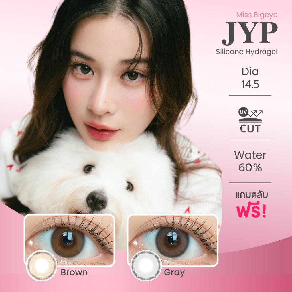 มินิ | Mayalens - JYP (Brown/Gray) คอนแทคเลนส์ ค่าอมน้ำ 60%