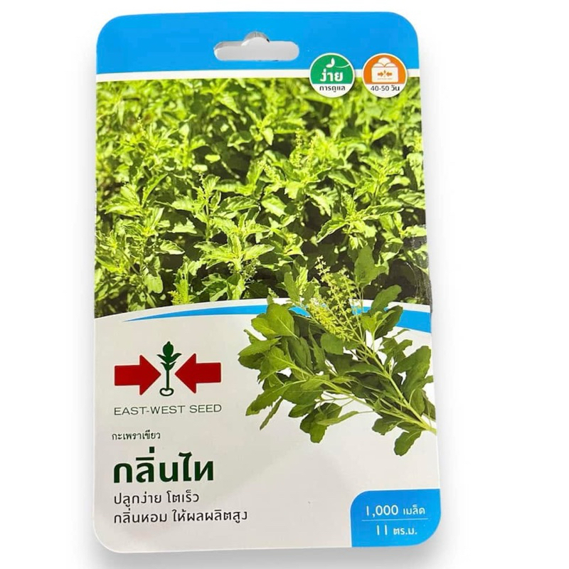 ศรแดง กะเพรา กลิ่นไทย  (1100 เมล็ด) ราคาถูก Shopee Lazada
