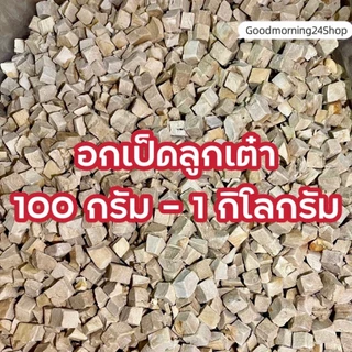 GMN ฟรีซดรายหญ้าแมวลูกเต๋า ขนาด 100กรัม-500กรัม ขนมแมว ขนมหมา สดใหม่ สุดคุ้ม น้ำหนักเต็มปริมาณ ต้นอ่อนข้าวสาลีผสมอกไก่