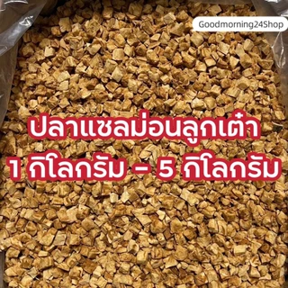 GMN ฟรีซดรายอกไก่ ไข่แดง ตับไก่ ตับเนื้อ แซลม่อน หญ้าแมว ขนาด 1กิโล-5กิโล ขนมแมว ขนมหมา สดใหม่ สุดคุ้ม น้ำหนักเต็มปริมาณ