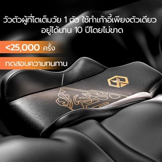 Xpanse Xspark เก้าอี้เกมมิ่ง Gaming Chair รองรับส่วนเอวตามหลักสรีรศาสตร์ เก้าอี้เล่นเกม เก้าอี้คอมที่วางแขนปรับได้ Tiger