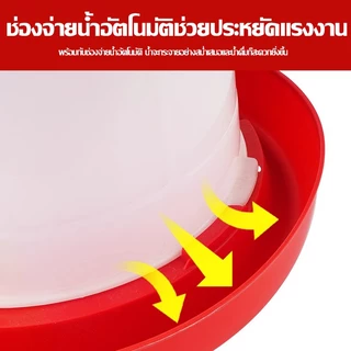 （COD）ถังให้อาหารไก่อัตโนมัติ ขนาดใหญ่ ที่ให้อาหารสัตว์ปีก ไก่ เป็ด นก ป้องกันไก่เขี่ย อาหารไม่หก เติมง่าย ประหยัดอาหาร
