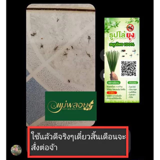 ธูปสมุนไพรไล่ยุง สมุนไพร100% ธูปตะไคร้ไล่ยุง กลิ่นตะไคร้